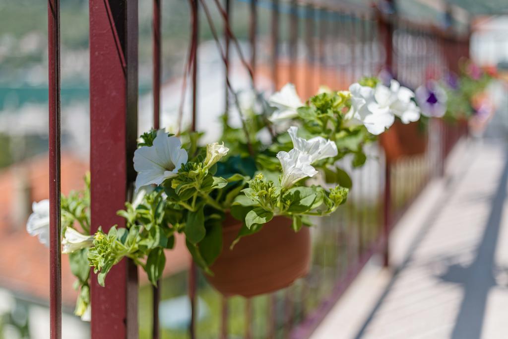 Apartments Feniks Kotor Luaran gambar